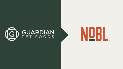 Blog: The Evolution of a Brand: From Guardian to NOBL
